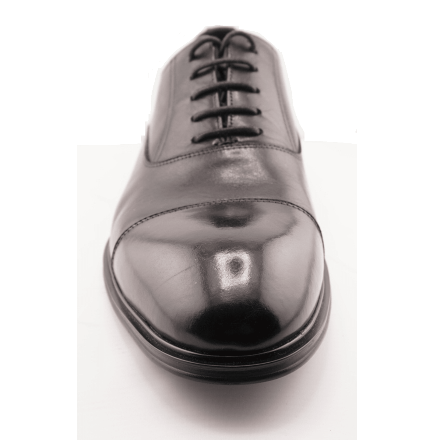 Taylor Oxford Classic Black Dress