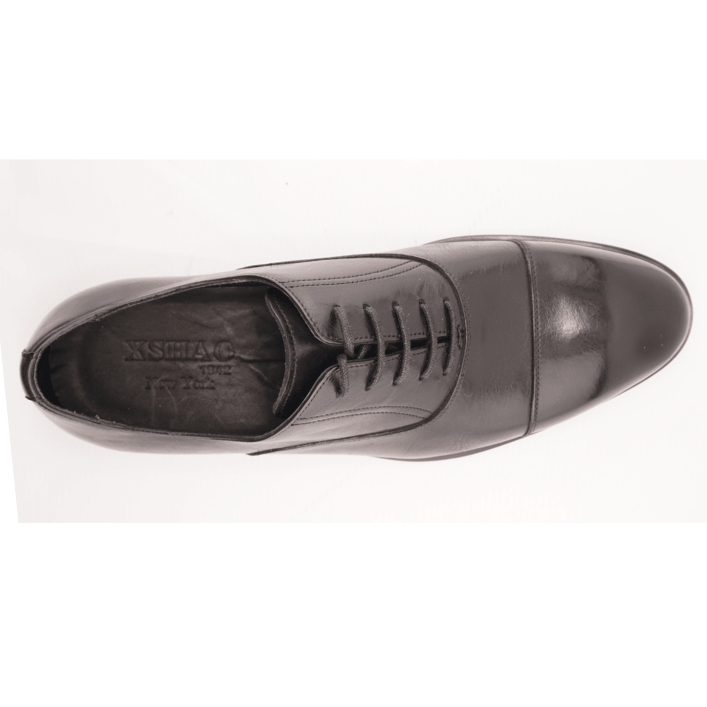 Taylor Oxford Classic Black Dress